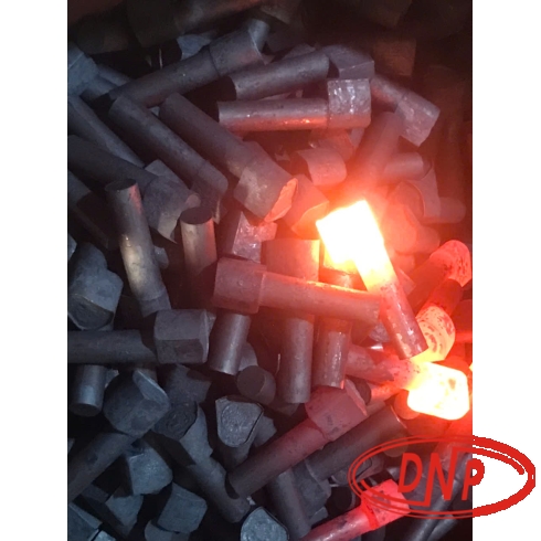 SHAFT-PARKING SPRAG